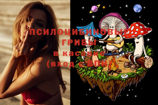 PSILOCYBIN Лабытнанги