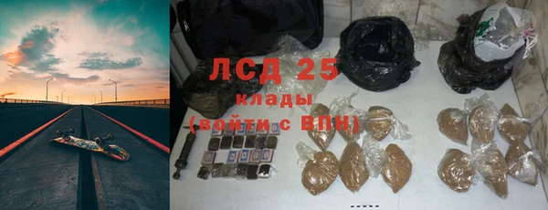 прущие грибы Ладушкин