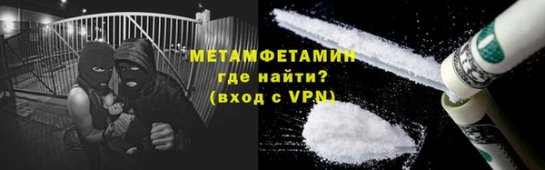 прущие грибы Кулебаки