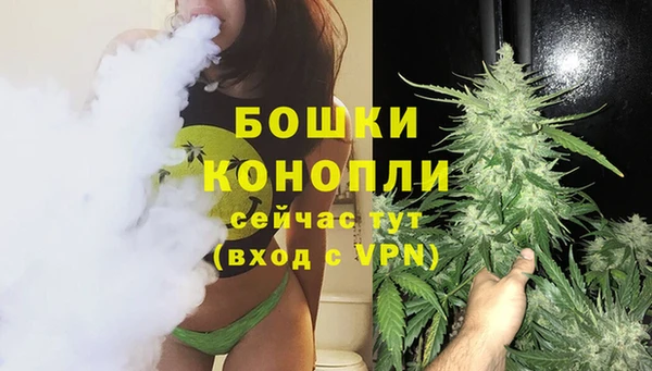 винт Лагань