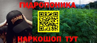 гашиш Краснознаменск